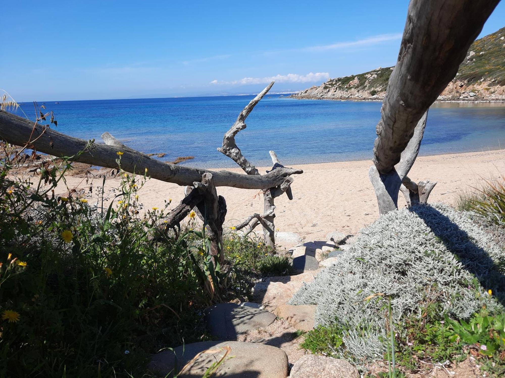 Le Residenze Desideri Di Gallura ซานตา เตเรซา กัลลูรา ห้อง รูปภาพ